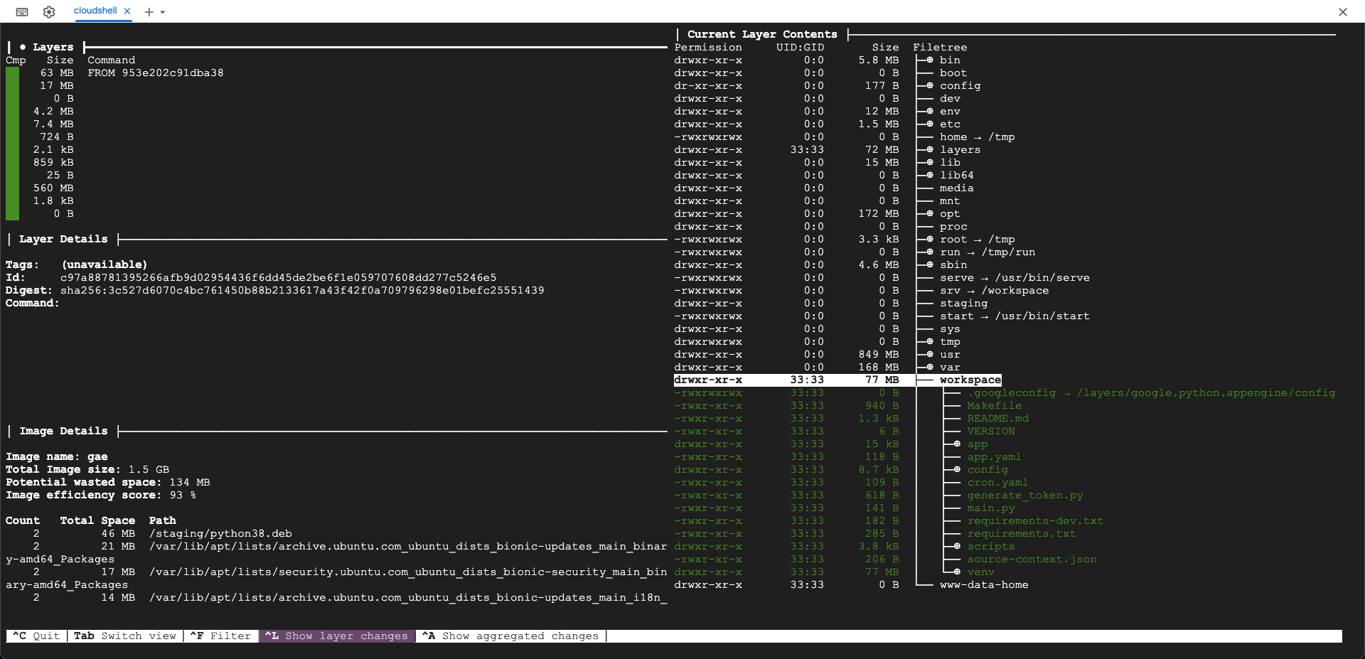 Diving into the container image of an App Engine version!